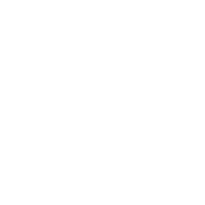 IEM